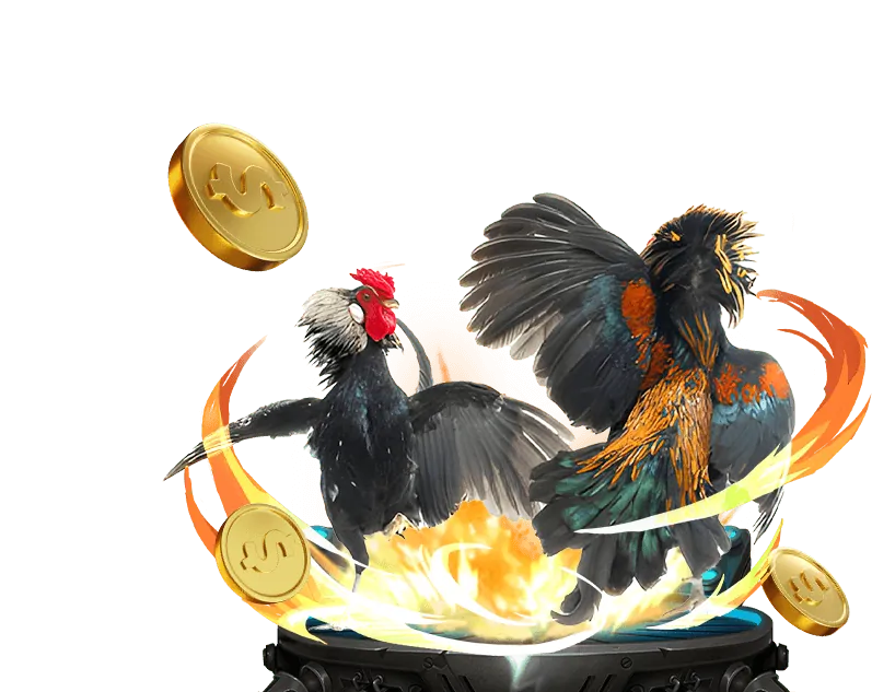 Tổng quan về nền tảng cá cược trực tuyến đá gà trực tiếp Thomo 88